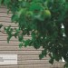 Сайдинг Ю-Пласт TIMBERBLOCK Пихта (Тимберблок) Cахалинская купить в Балабаново