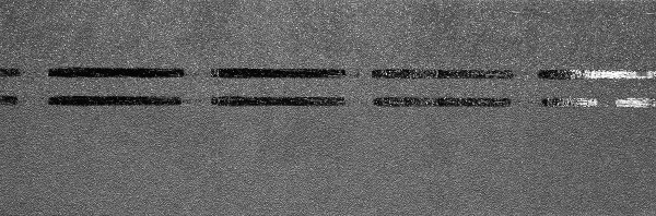 Коньково-карнизная черепица Docke Premium, черника купить в Балабаново