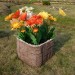 Цветник КАНЬОН купить в Балабаново