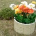 Цветник КАНЬОН купить в Балабаново